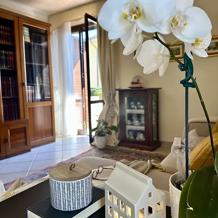 Casa Lorenzo * Vicopisano